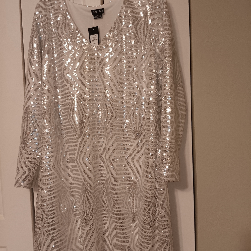Size 20 plus-sized silver sequined dress